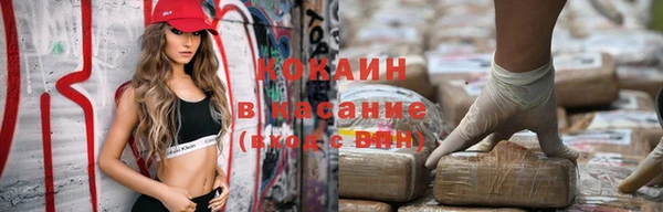 сатива Арсеньев